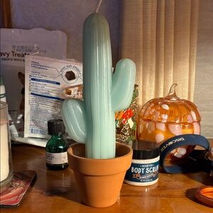 NWT Green Cactus Candle in Terracotta Pot